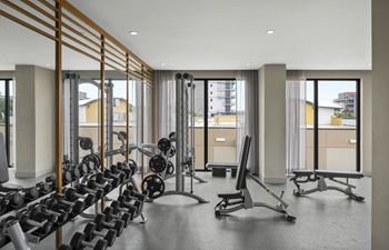 A gym with a row of dumbbells and weight machines.